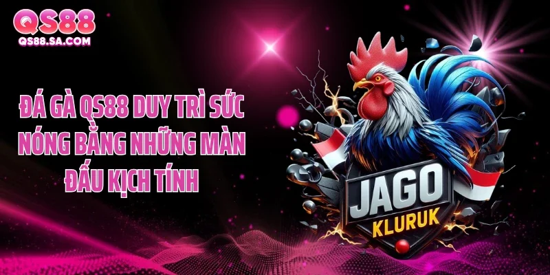 Đá gà QS88 duy trì sức nóng bằng những màn đấu kịch tính Đá gà QS88 duy trì sức nóng bằng những màn đấu kịch tính