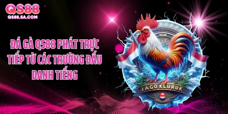Đá gà QS88 phát trực tiếp từ các trường đấu danh tiếng Đá gà QS88 phát trực tiếp từ các trường đấu danh tiếng