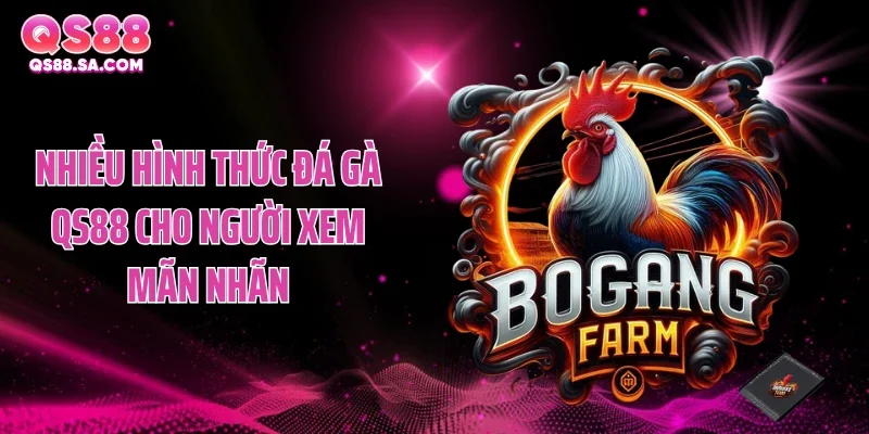 Nhiều hình thức đá gà QS88 cho người xem mãn nhãn Nhiều hình thức đá gà QS88 cho người xem mãn nhãn